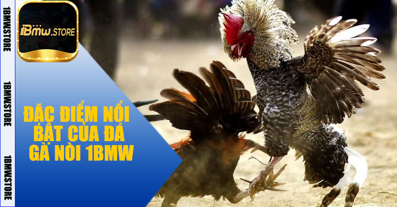 Đặc điểm nổi bật của Đá Gà Nòi 1BMW