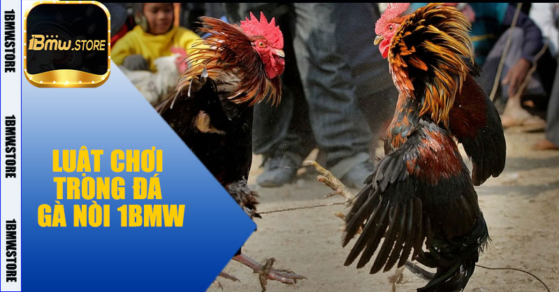 Luật chơi trong Đá Gà Nòi 1BMW