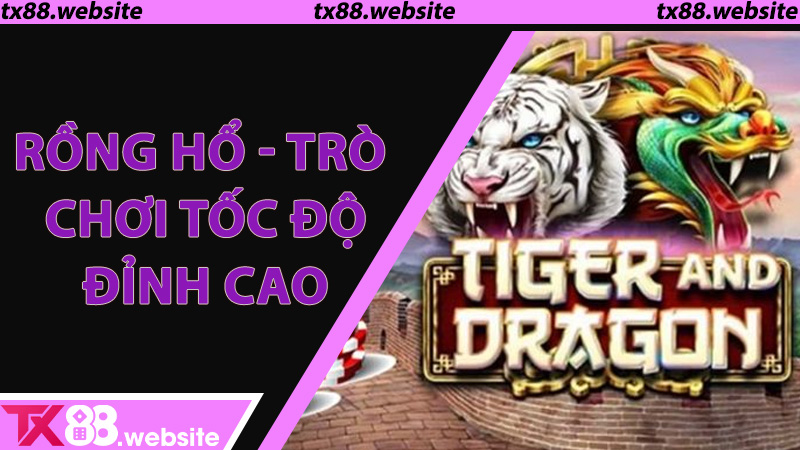 Rồng Hổ - Trò chơi tốc độ đỉnh cao