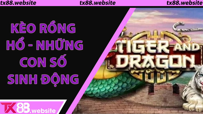 Kèo Rồng Hổ - Những con số sinh động