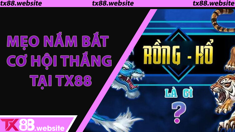 Mẹo nắm bắt cơ hội thắng tại TX88