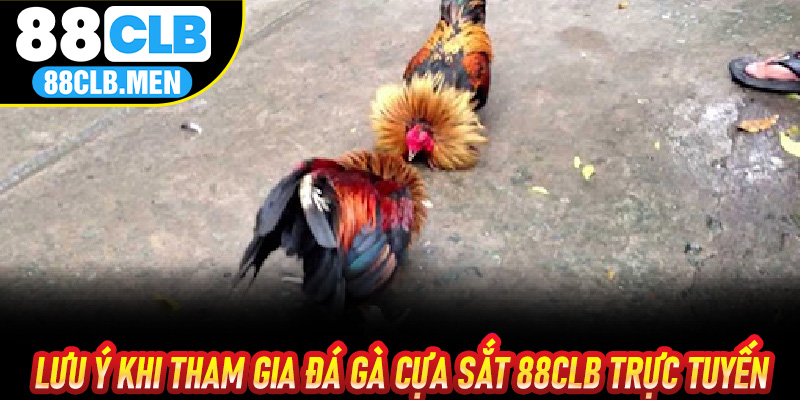 Lưu ý khi tham gia Đá Gà Cựa Sắt 88CLB trực tuyến