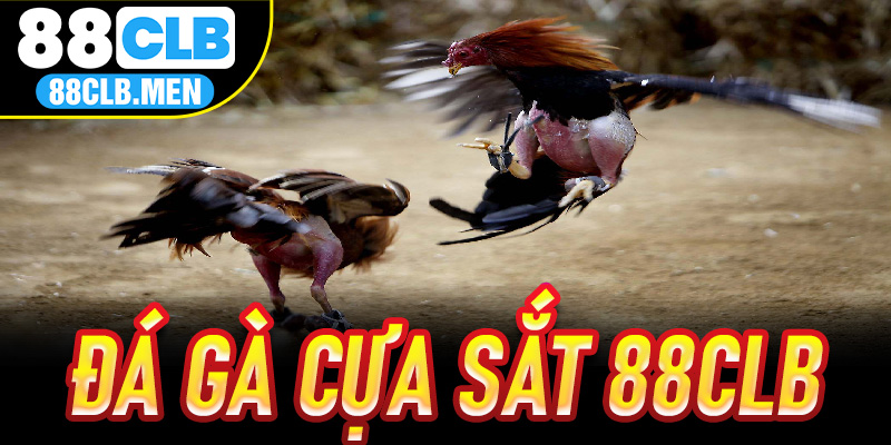 Đá Gà Cựa Sắt 88CLB – Trận Chiến Đỉnh Cao Lợi Nhuận Cực Khủng 2 Đá Gà Cựa Sắt 88CLB